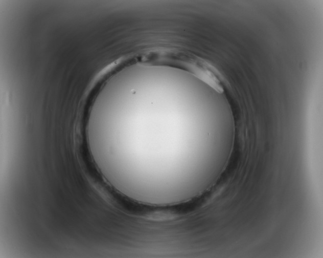 X0000084000536200703091908