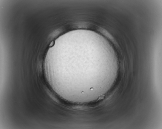 X0000084000537200703091908