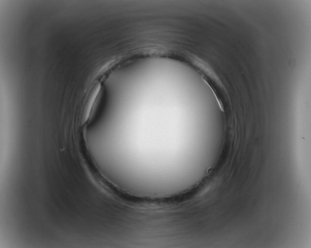 X0000084000538200703091908