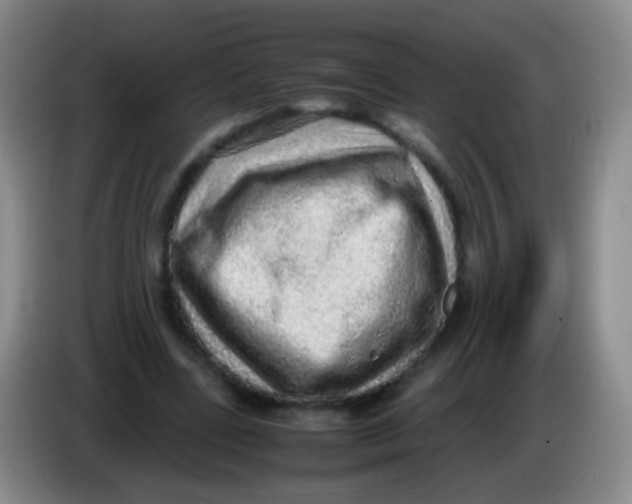 X0000084000539200703091908