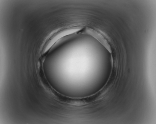 X0000084000540200703091908