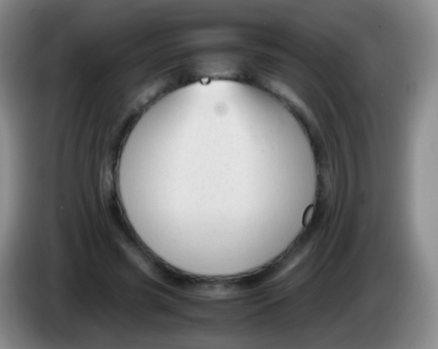 X0000084000541200703091908
