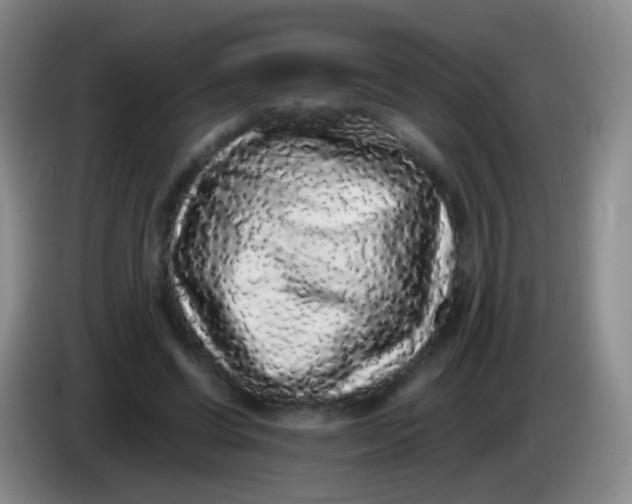 X0000084000542200703091908