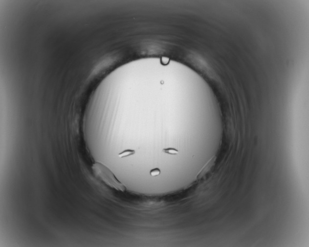 X0000084000543200703091908