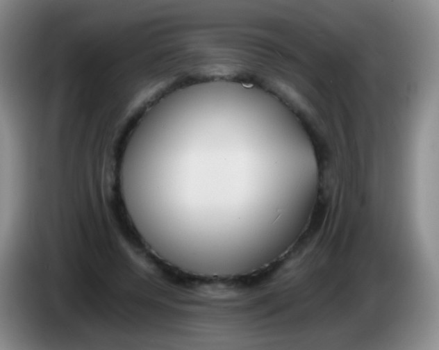 X0000084000544200703091908