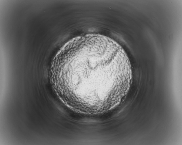 X0000084000545200703091908