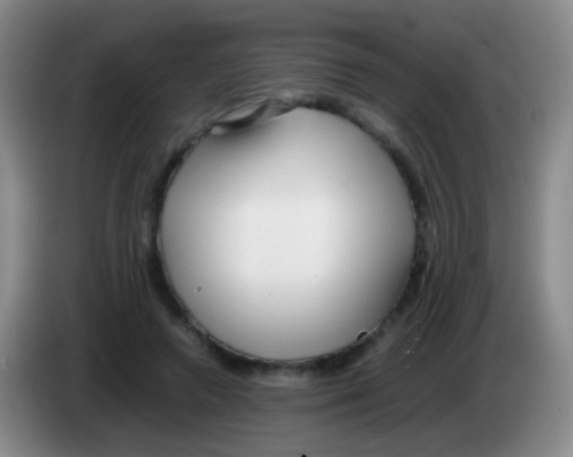 X0000084000546200703091908