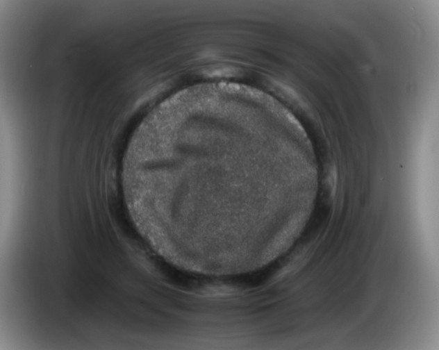 X0000084000547200703091908