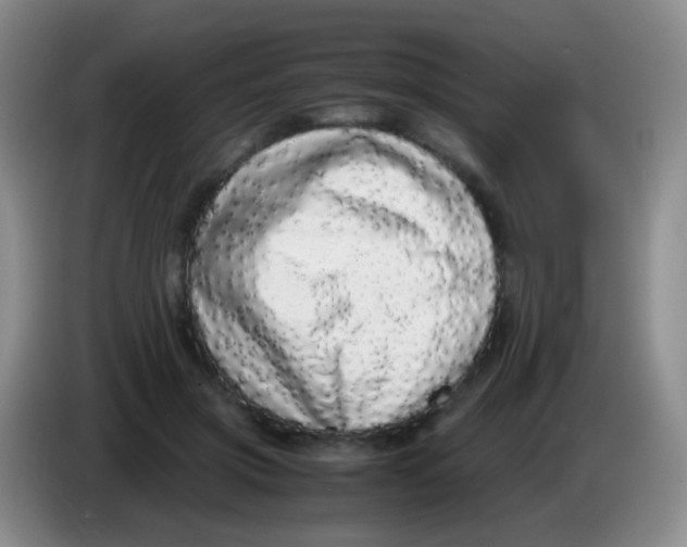X0000084000549200703091908