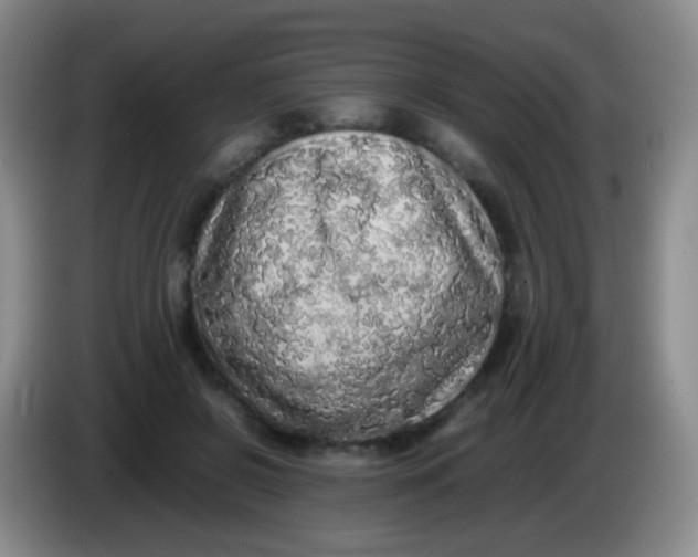 X0000084000550200703091908