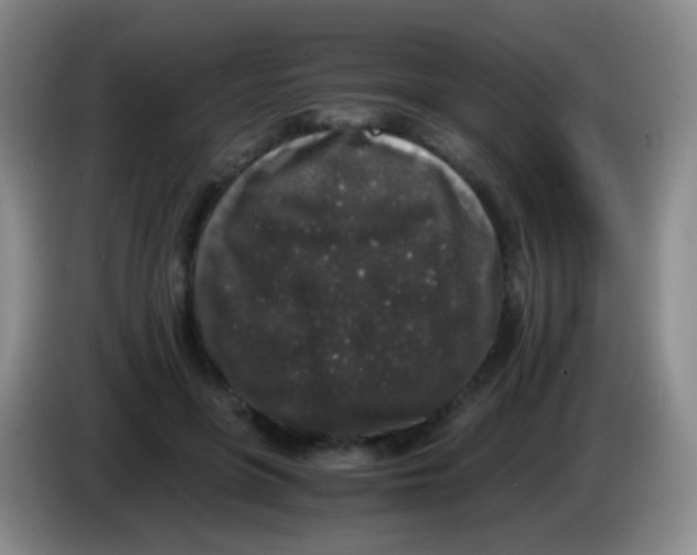 X0000084000551200703091908