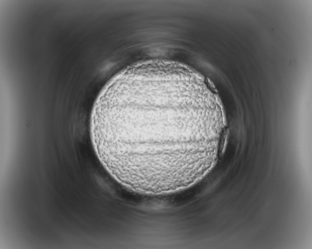 X0000084000554200703091908
