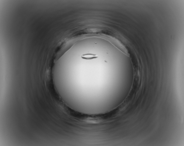 X0000084000556200703091908