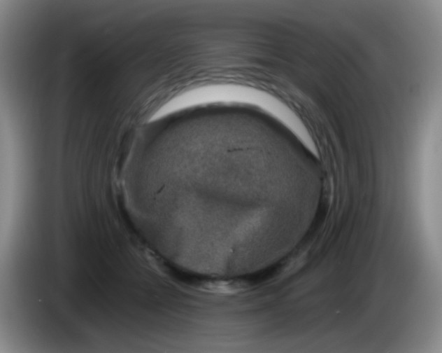 X0000084000558200703091908