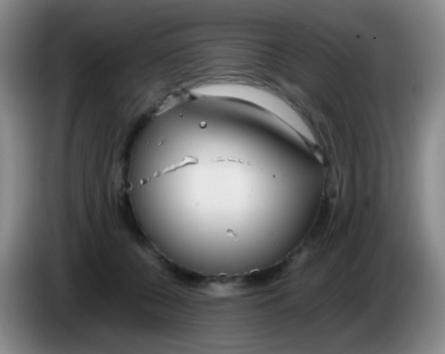 X0000084000560200703091908