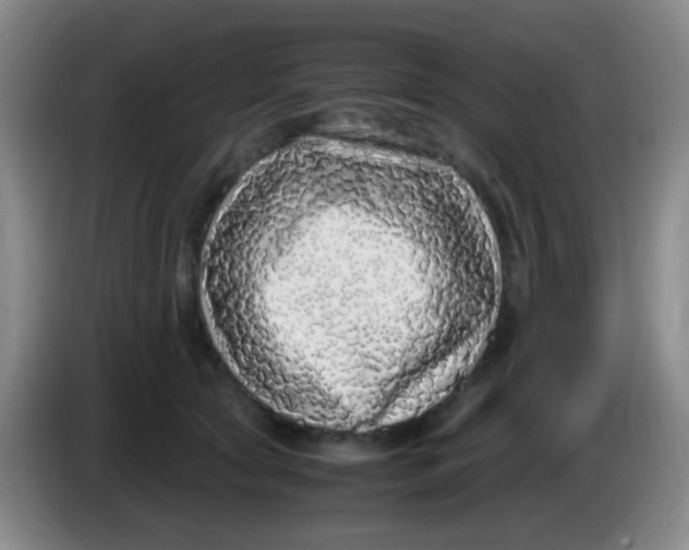 X0000084000561200703091908