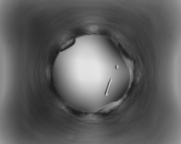X0000084000562200703091908