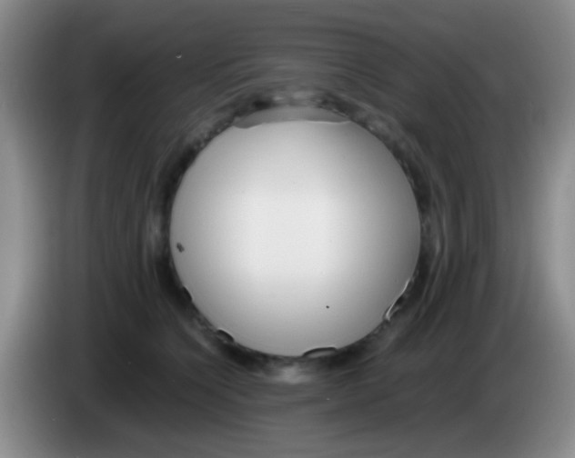 X0000084000564200703091908