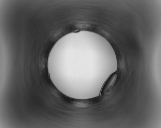 X0000084000567200703091908