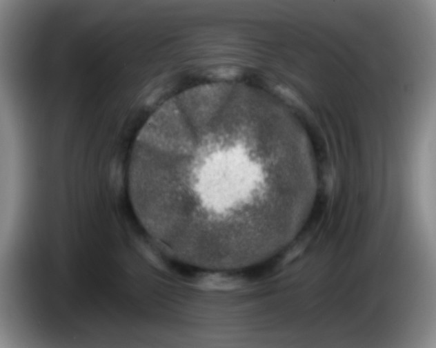 X0000084000568200703091908