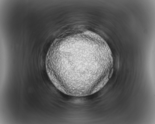 X0000084000569200703091908