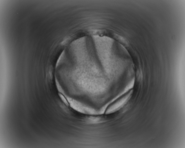 X0000084000570200703091908