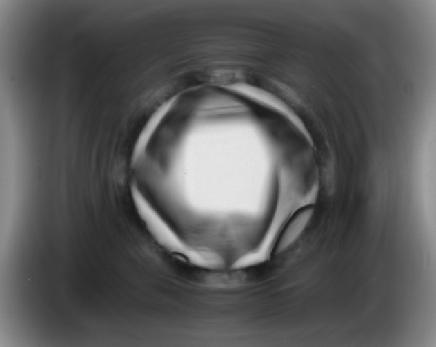 X0000084000571200703091908