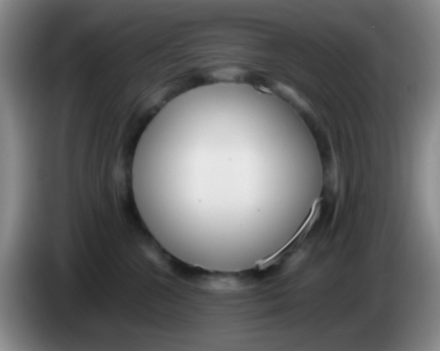 X0000084000572200703091908
