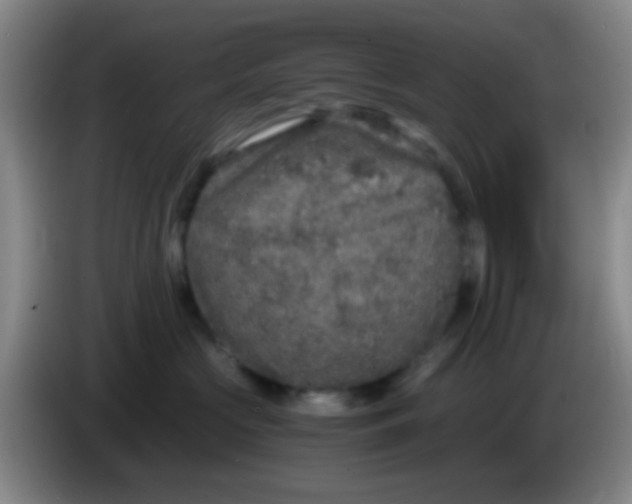 X0000084000573200703091908