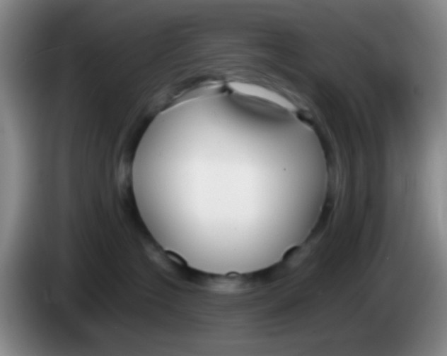 X0000084000574200703091908