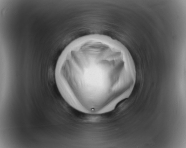X0000084000575200703091908