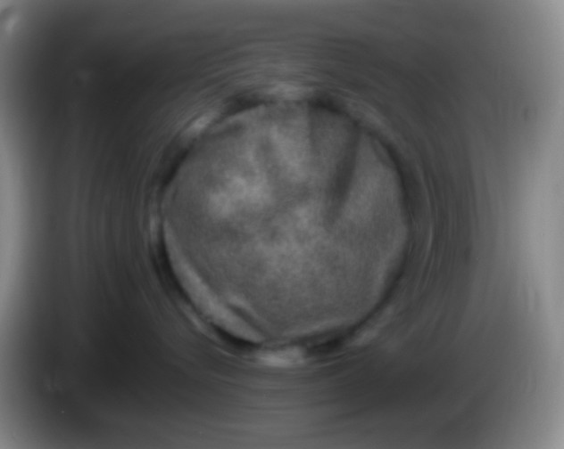 X0000084000576200703091908