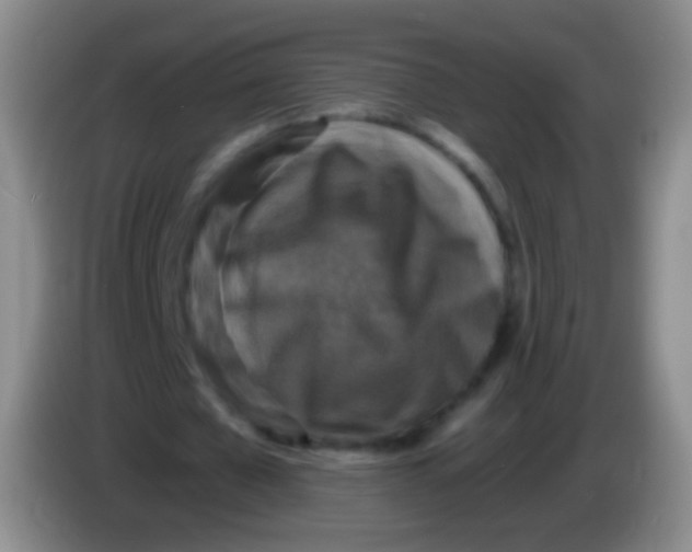 X0000084000577200703091908