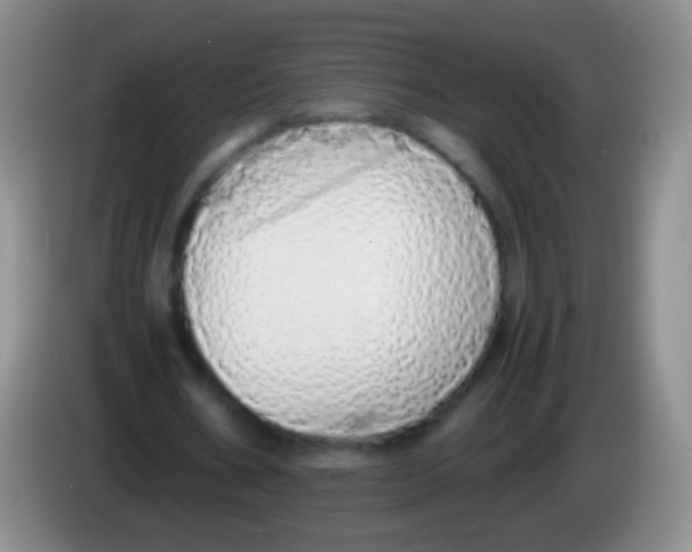 X0000084000578200703091908