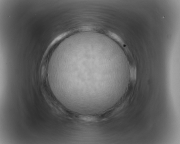 X0000084000579200703091908