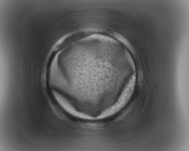 X0000084000580200703091908