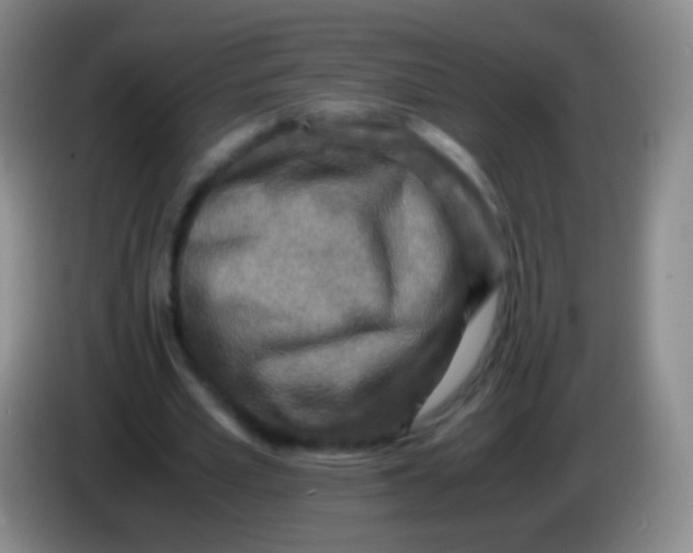 X0000084000581200703091908
