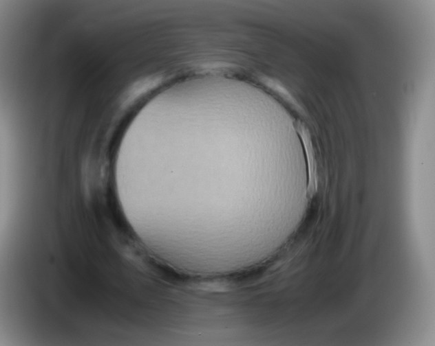 X0000084000583200703091908