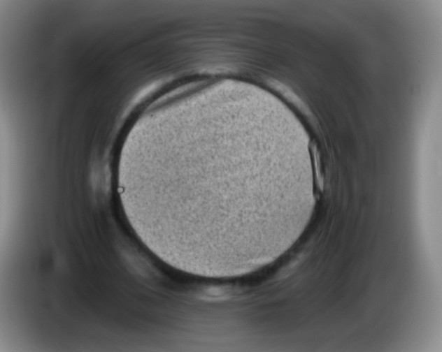 X0000084000584200703091908