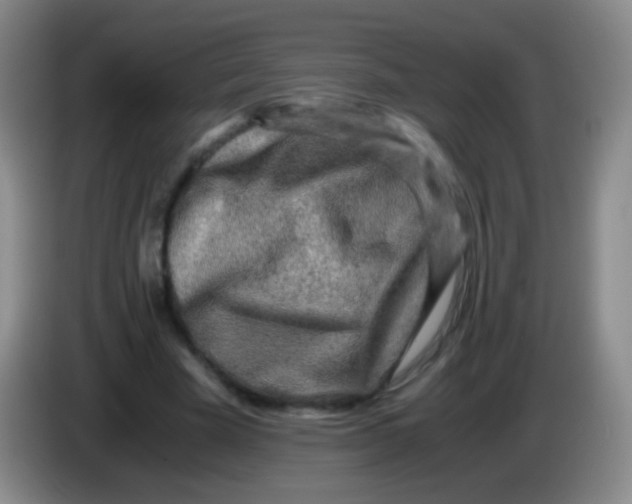 X0000084000585200703091908