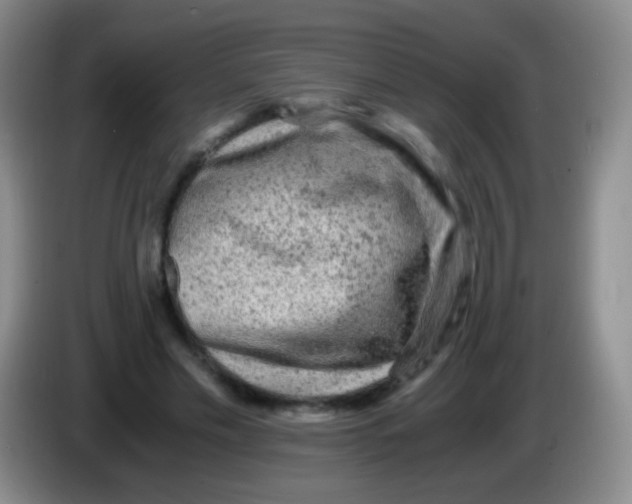 X0000084000589200703091908