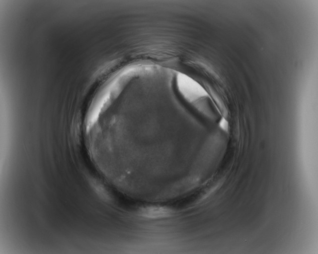 X0000084000590200703091908