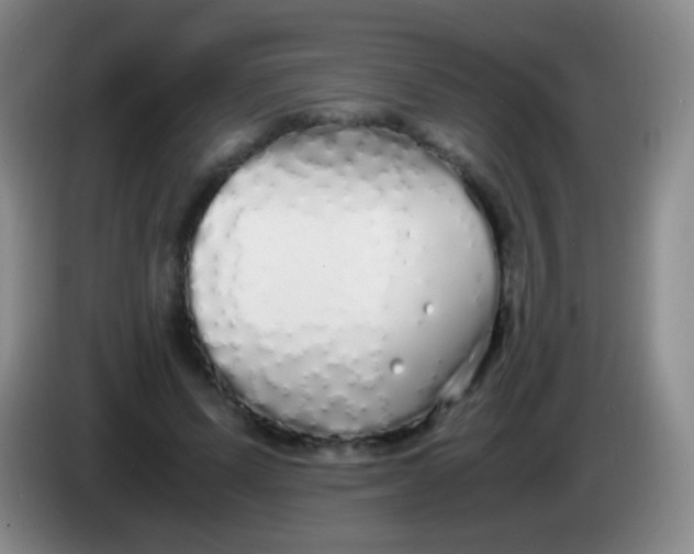 X0000084000591200703091908