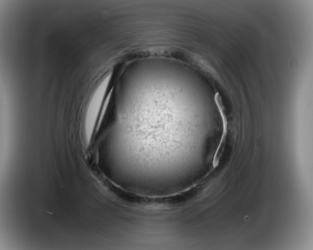 X0000084000593200703091907