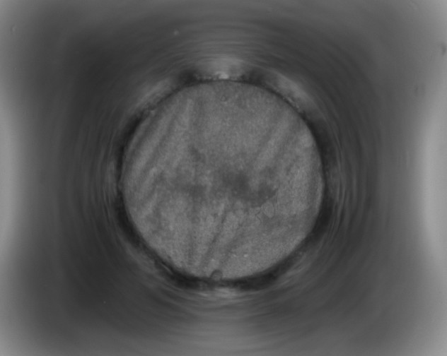 X0000084000594200703091907