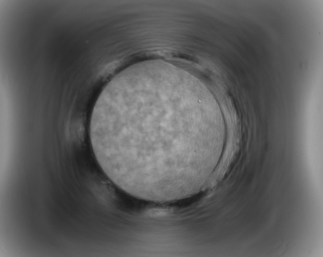 X0000084000595200703091907