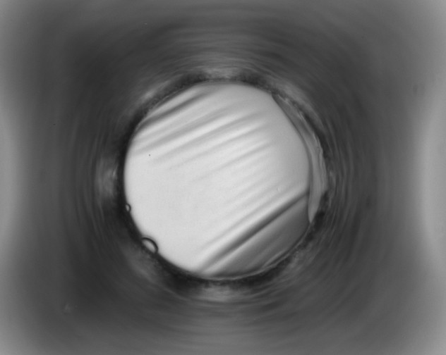 X0000084000596200703091907