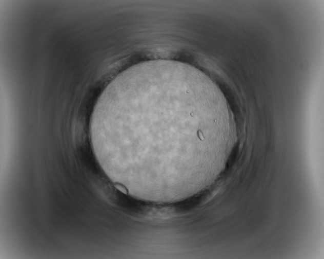 X0000084000599200703091907