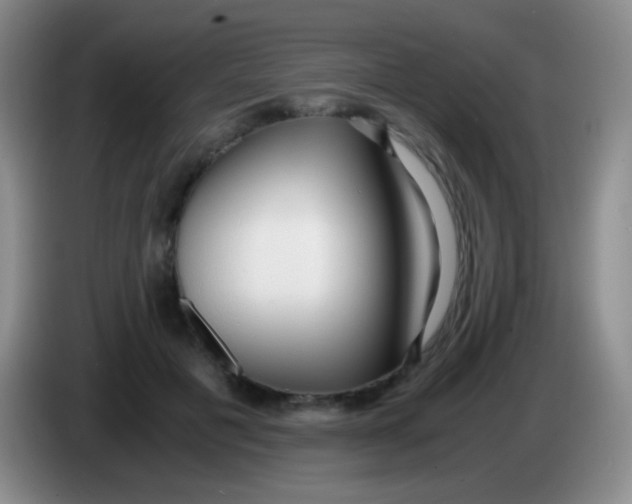 X0000084000601200703091907