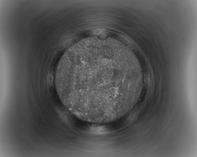 X0000084000602200703091907